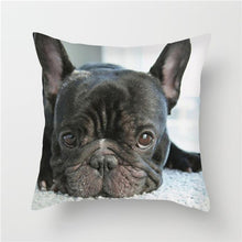 Load image into Gallery viewer, Decorative Pillow Case