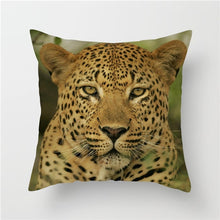 Load image into Gallery viewer, Decorative Pillow Case