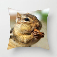 Load image into Gallery viewer, Decorative Pillow Case