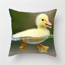 Load image into Gallery viewer, Decorative Pillow Case