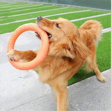 Load image into Gallery viewer, Flying Discs Pet Training Ring