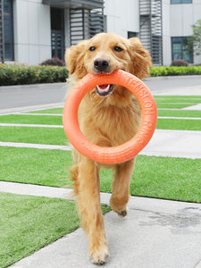 Flying Discs Pet Training Ring