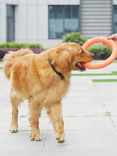 Load image into Gallery viewer, Flying Discs Pet Training Ring