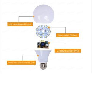 LED Lamp Globe