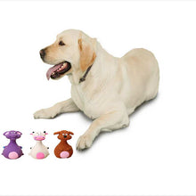 Load image into Gallery viewer, Cachorro Latex Chew Toys