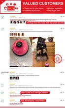 Load image into Gallery viewer, Pet Call Bell Toy