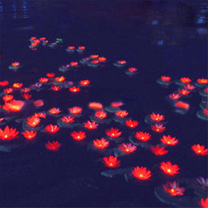Floating Lotus Lantern