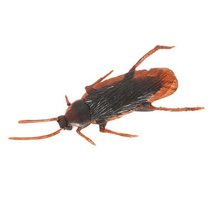 Cockroach Shaped Rubber Pet Toys