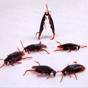 Cockroach Shaped Rubber Pet Toys