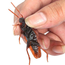 Load image into Gallery viewer, Cockroach Shaped Rubber Pet Toys