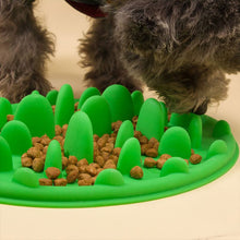 Load image into Gallery viewer, Pet Puzzle Food Bowl