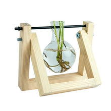 Load image into Gallery viewer, Desktop Glass Planter Bulb Vase