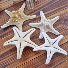 Load image into Gallery viewer, 1pcs Starfish Miniature Figurine Home Decoration Accessories Craft Ornaments Sea Stars DIY Beach Cottage Gifts 5-10cm