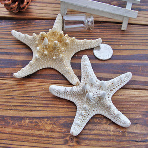 1pcs Starfish Miniature Figurine Home Decoration Accessories Craft Ornaments Sea Stars DIY Beach Cottage Gifts 5-10cm