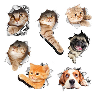 Cat 3D Smashed Switch Wall Stickers