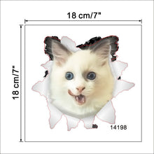 Load image into Gallery viewer, Cat 3D Smashed Switch Wall Stickers