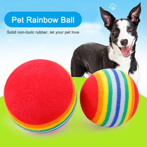 Interactive Balls Chewing Toys